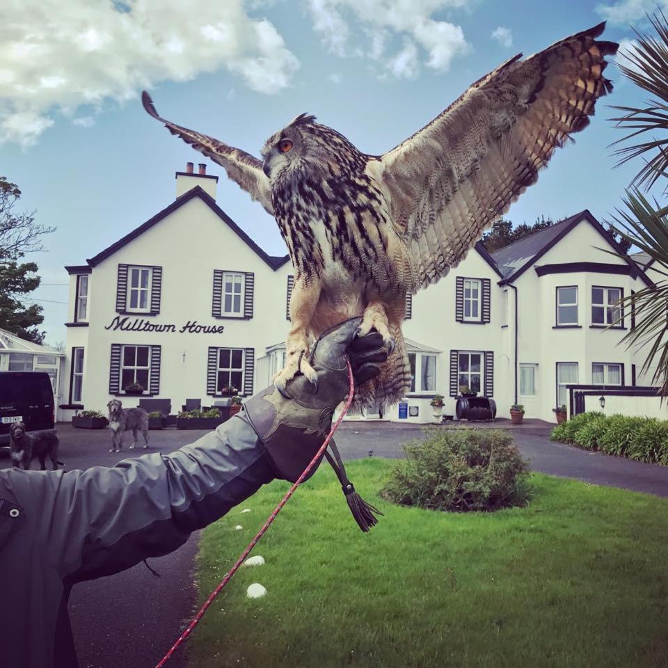 Hotel Milltown House Dingle Exterior foto